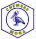 CHEMSAF logo
