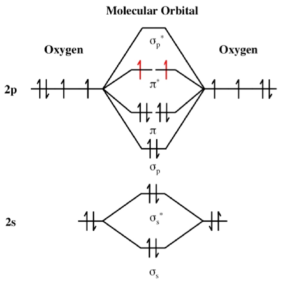 Molecular Orbital Diagram Of O2 2