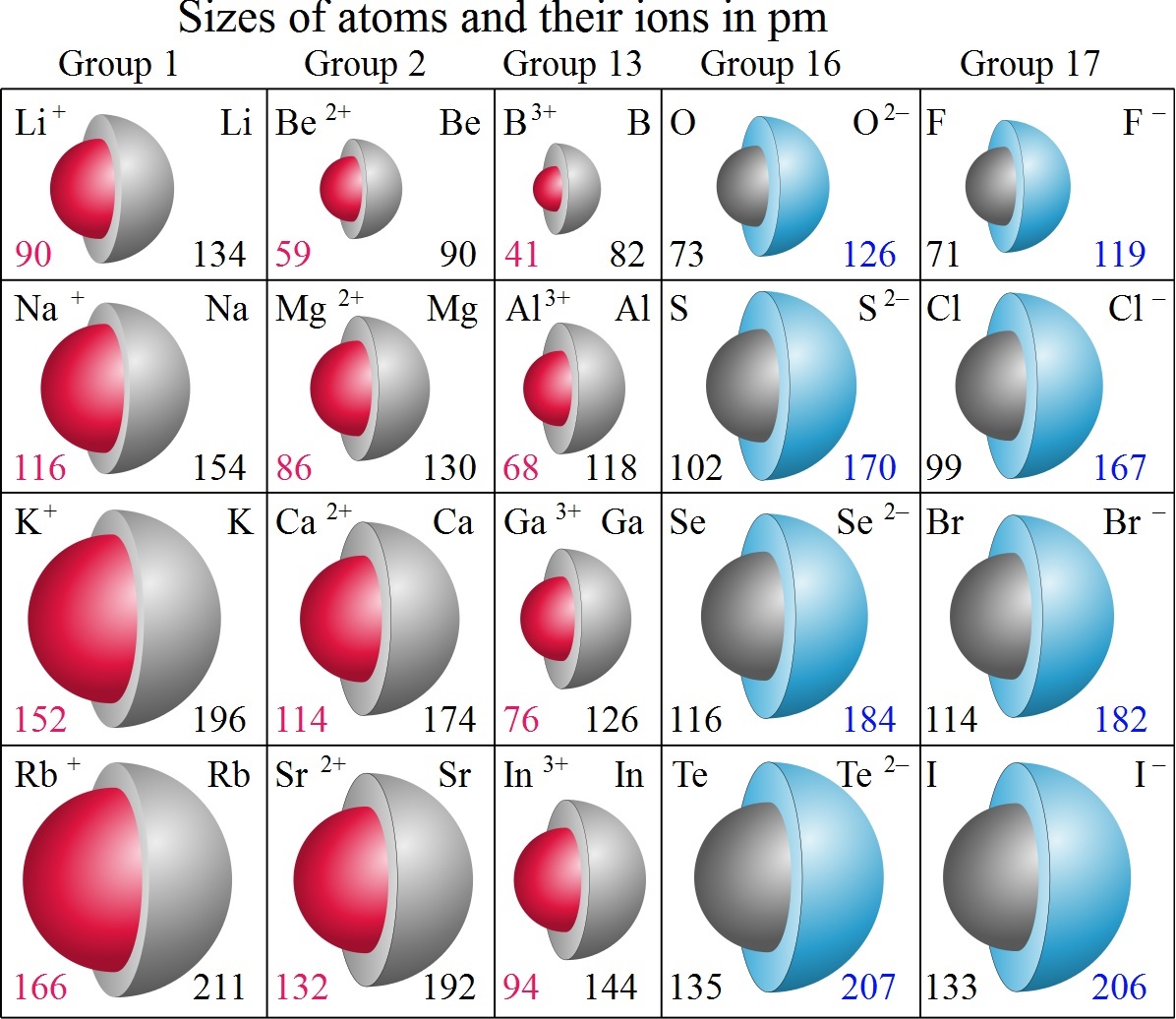 Size of Atoms