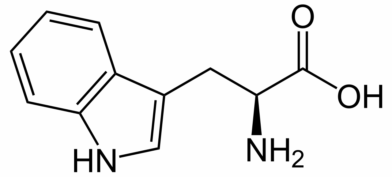 structure of L-tryptophan