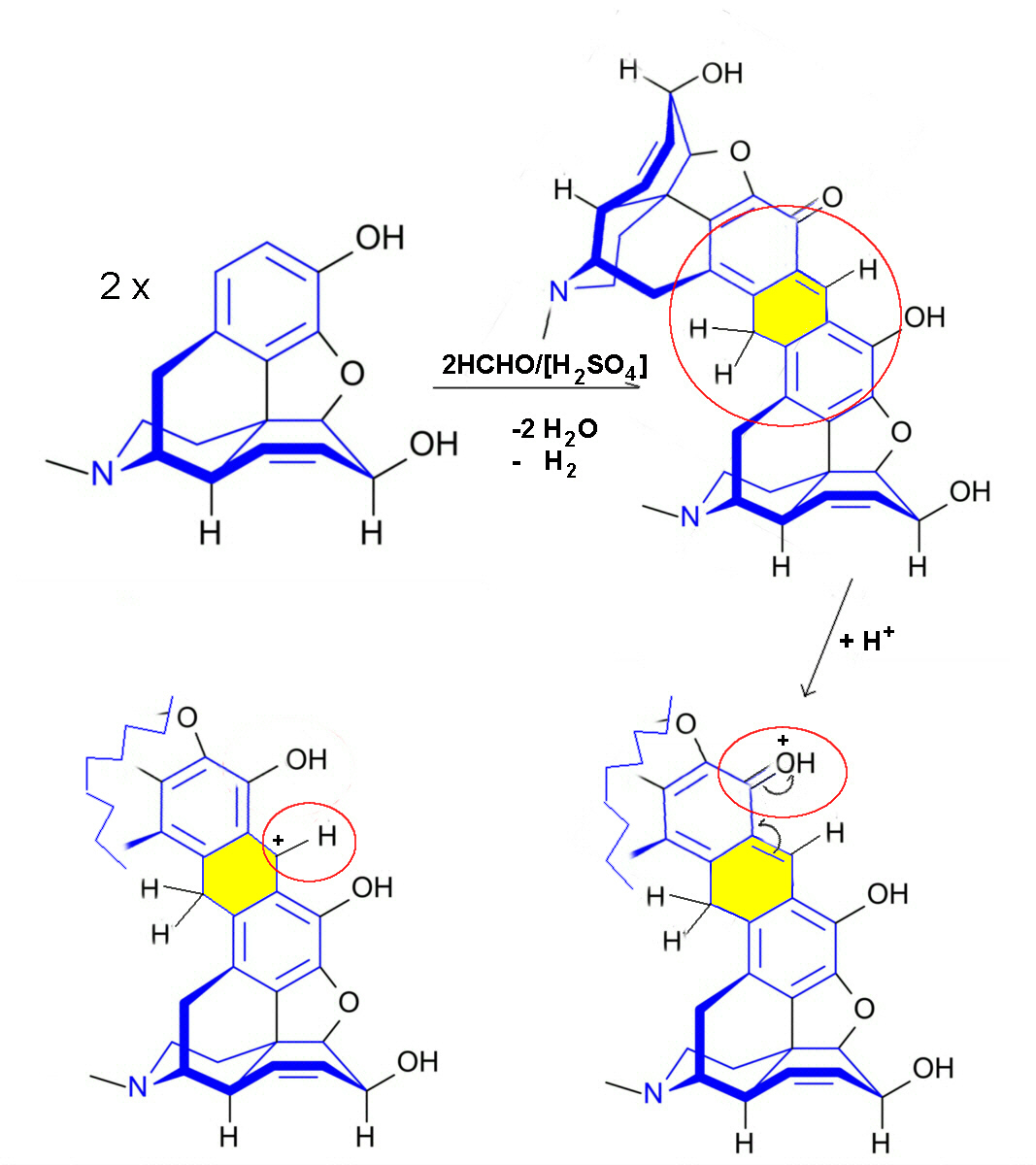 morphine reaction with Marquis' reagent