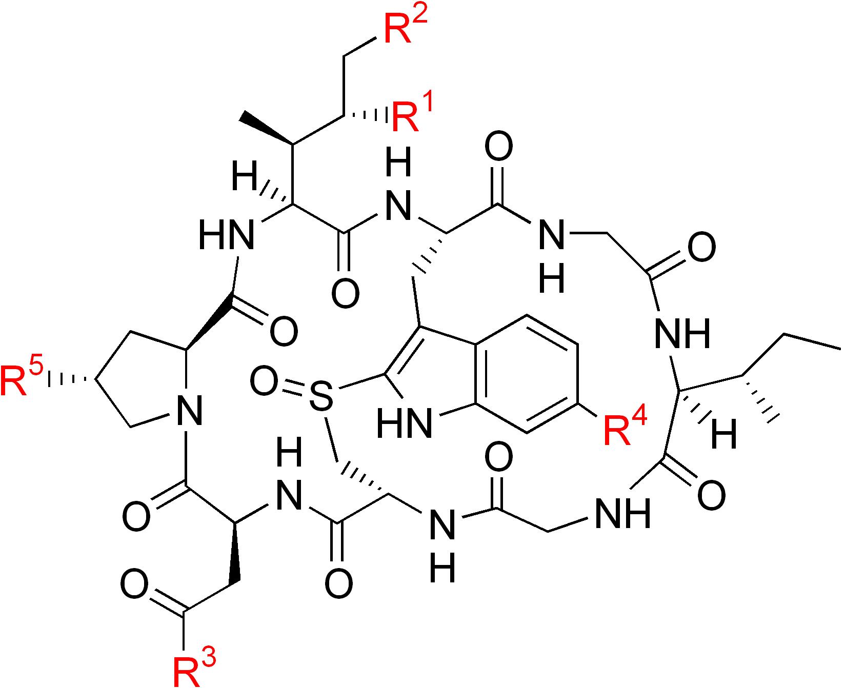 structure of alpha-amanitin
