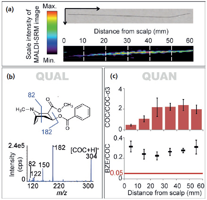 MS of cocaine in hair