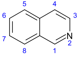 isoquinoline alkaloid
