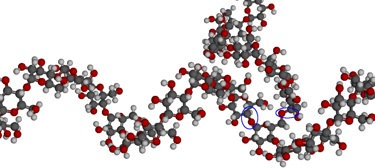 cellulose structure 3d