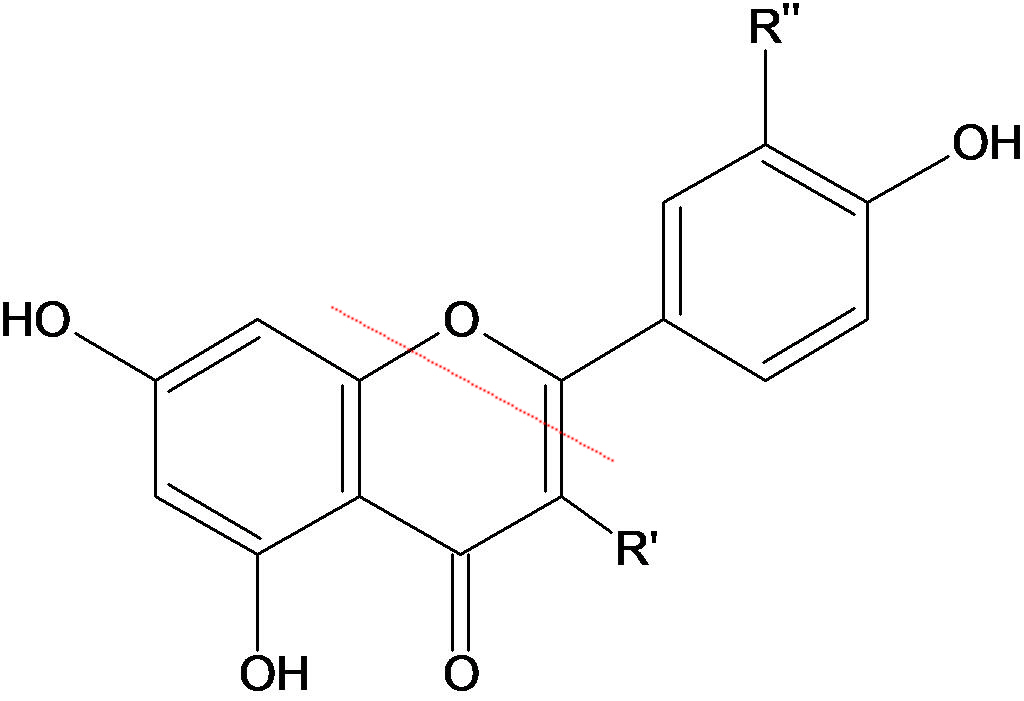 flavonoids