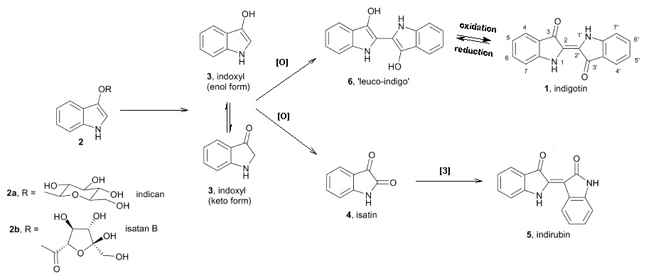 preparation of indigo