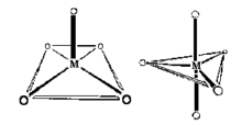 coordination number 5