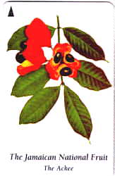 TOJ phone card showing the ackee