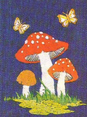 A muscaria