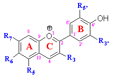 structure of anthocyanidins