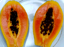 Jamaican Papaya