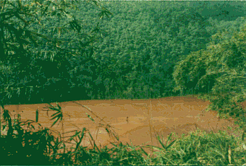 red mud pond