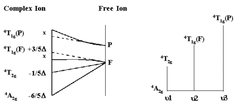 Orgel diagram for Cr(III)
