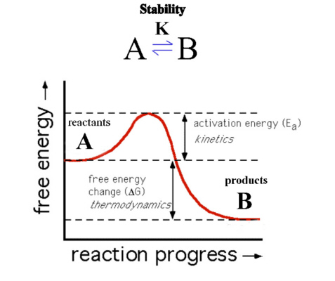 stability energy kinetic thermodynamic stable thermodynamically reaction profile g species between lower than negative spontaneously so