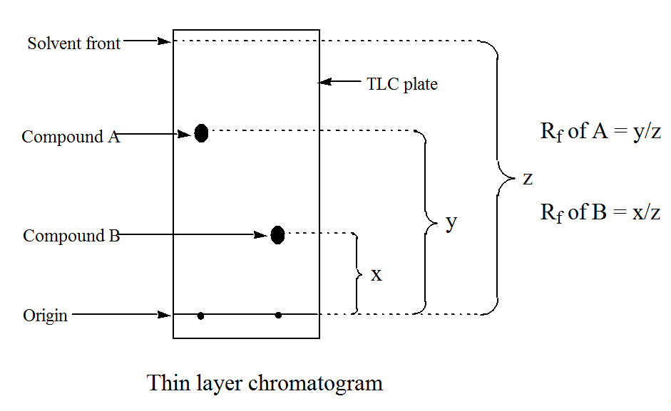 sample TLC plate