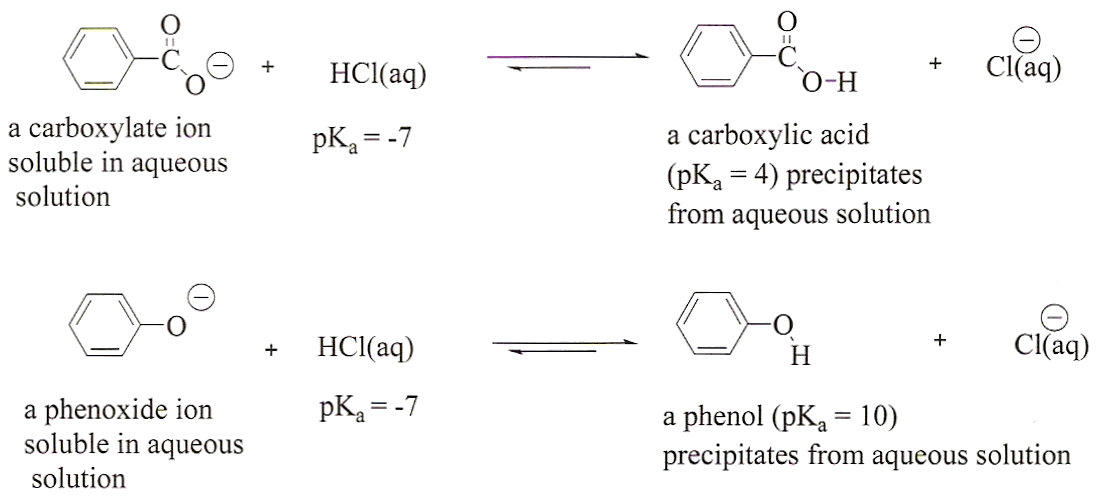 Acid Base Neutral Extraction Flow Chart