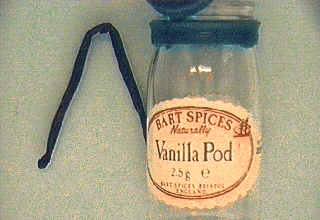 Vanilla pod